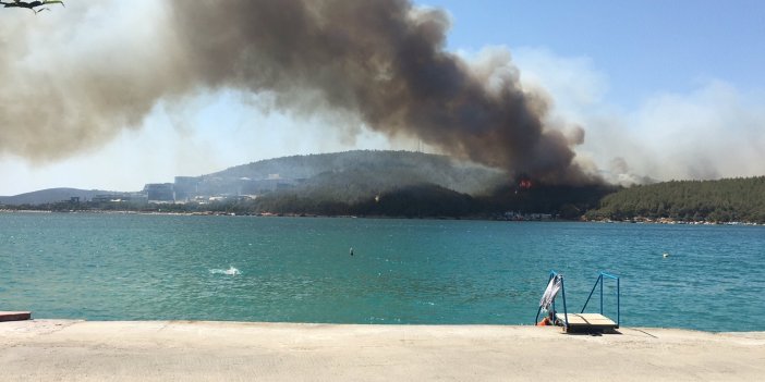 Bodrum ve Didim'de de yangın