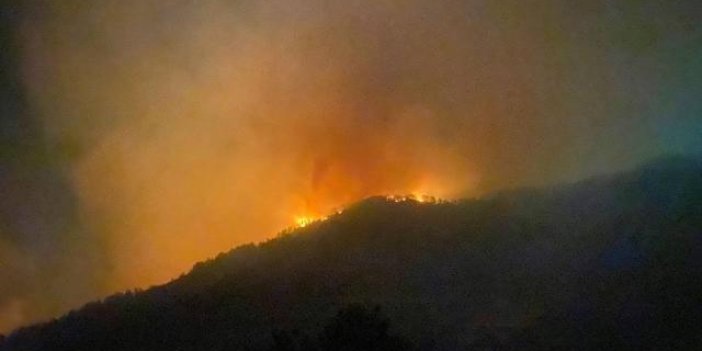 Gazipaşa'da da orman yangını başladı
