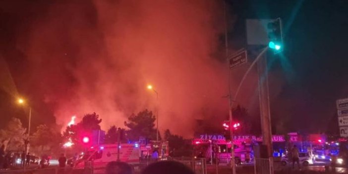 İstanbul’da iş yerinde çıkan yangın fidanlık alana sıçradı