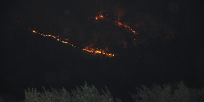 Gazipaşa'da da 4 farklı noktada orman yangını çıktı
