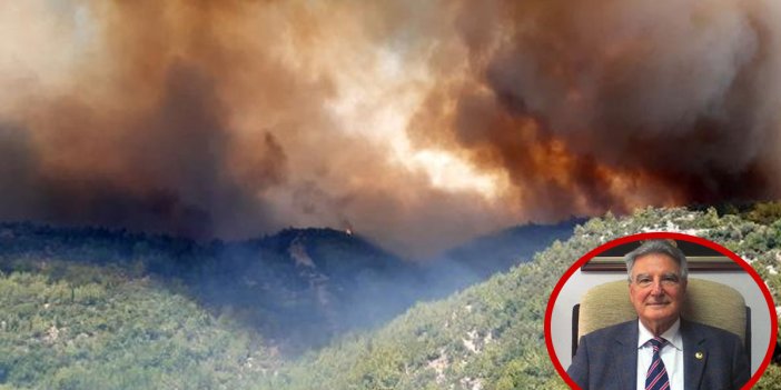 THK’nın eski başkanı Erdoğan Karakuş yangınların neden söndürülmediğini açıkladı