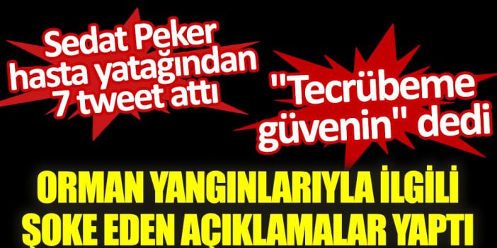 Sedat Peker hasta yatağından 7 tweet attı. Orman yangınlarıyla ilgili şoke eden açıklamalar yaptı