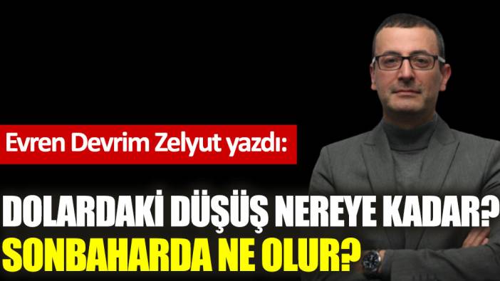 Dolardaki düşüş nereye kadar? Sonbaharda ne olur?