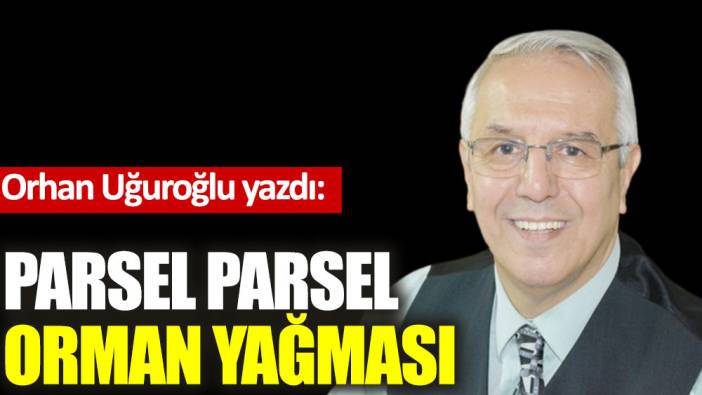 Parsel parsel orman yağması