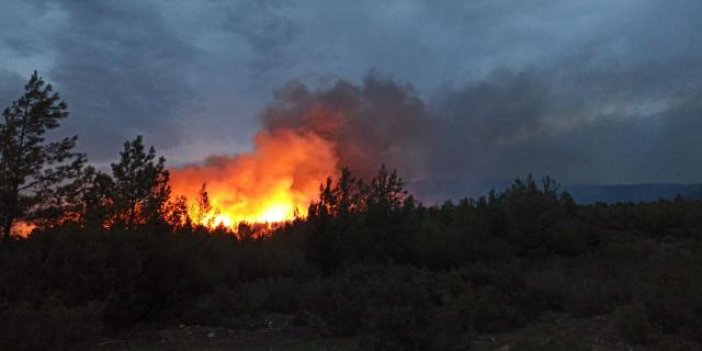 Muğla Kavaklıdere'deki yangın kontrol altına alındı