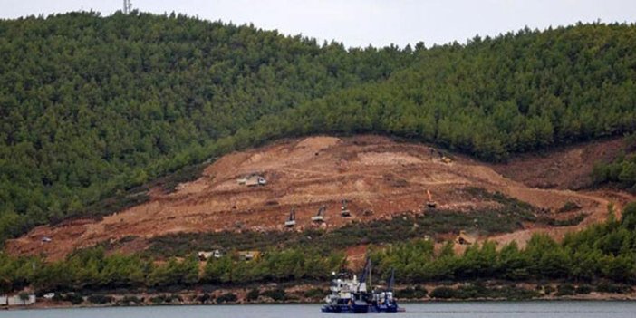 Türkiye Ormancılar Derneği: Bu acımasız rant anlayışından acilen vazgeçilmelidir