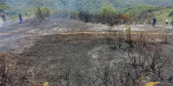 Zonguldak’ta 1 dönüm orman alanı yandı