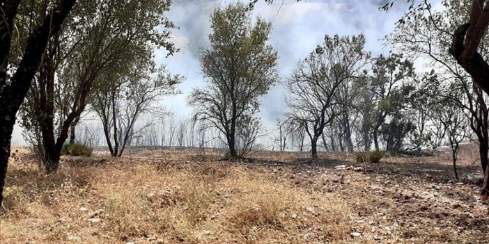 Dursunbey'deki orman yangın kontrol altına alındı