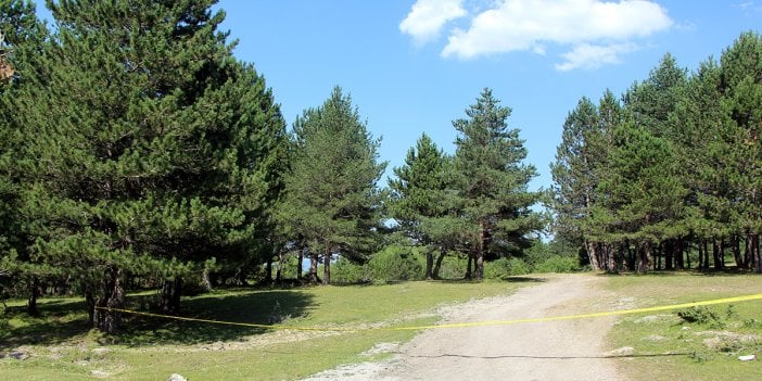 Bolu'da orman yolları şeritle kapatıldı