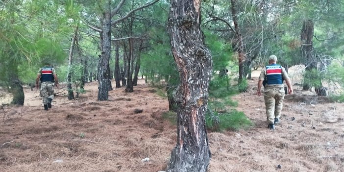 Malatya'da ormanlık alanlarda mola ve piknik yasağı