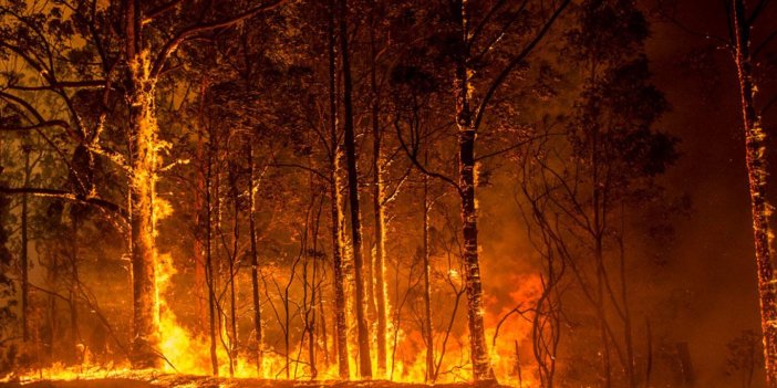 ABD'li yangın tarihi uzmanı: Dünya ateş çağına giriyor