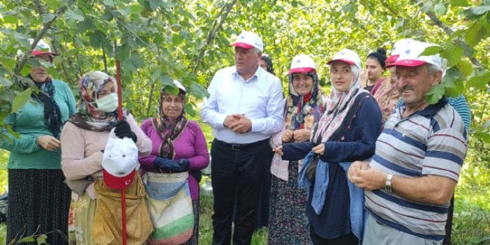 İYİ Partili Örs: Fındık harmanda, fiyat için ne bekleniyor?