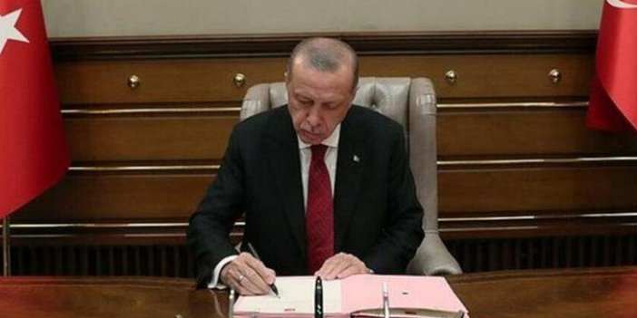 YÖK çalışmasını Erdoğan'a sundu