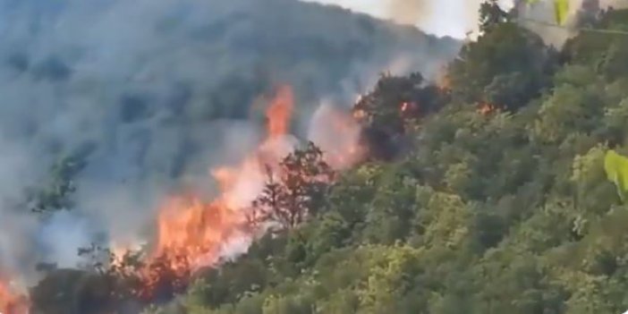 İstanbul Sarıyer'de orman yangını çıktı