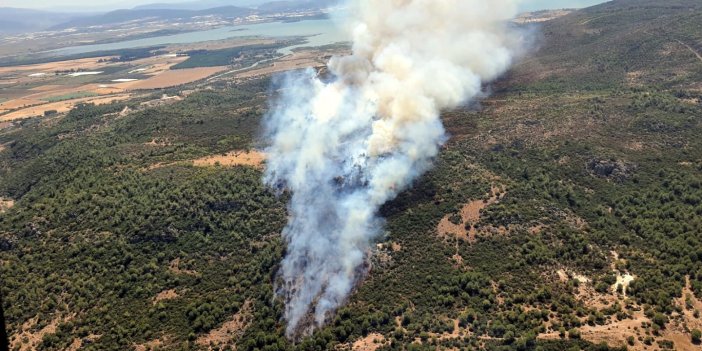 Menderes'te orman yangını