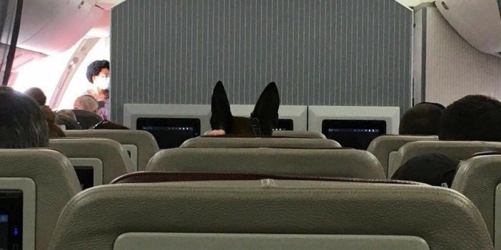 Afganistan'dan tahliye edilen Amerikan köpeği özel uçağın vip koltuğunda
