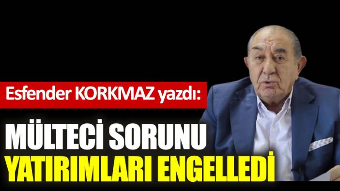 Mülteci sorunu yatırımları engelledi?