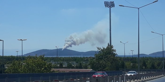Heybeliada'daki orman yangınıyla ilgili İstanbul Valiliği'nden açıklama