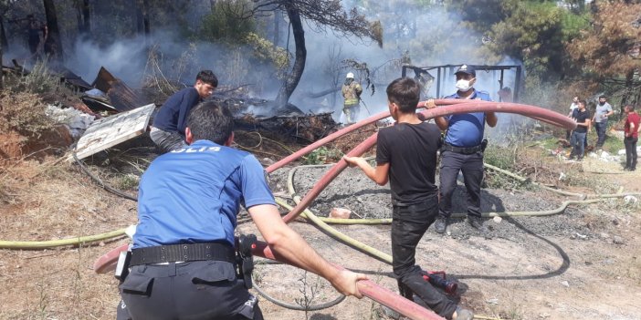  İstanbul'da orman yangını