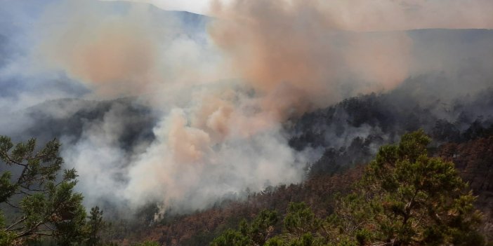 Adana'da çıkan orman yangını kontrol altında
