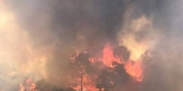 Ormanı yaktığı iddia edilen şahıs yanık tedavisi gördüğü hastanede öldü