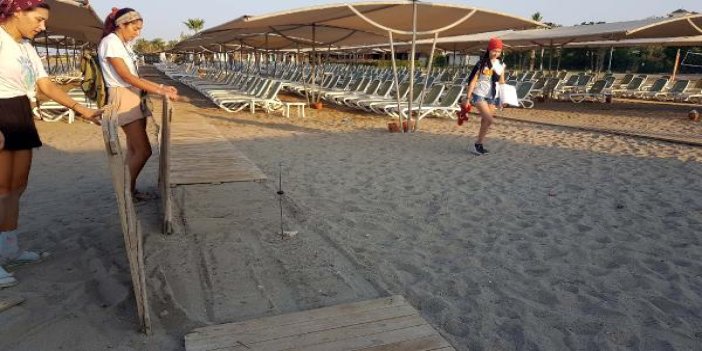 Antalya'daki caretta sahilinde 5 yıldızlı katliam
