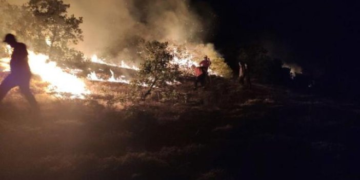 Bingöl'de iki ayrı bölgede orman yangını