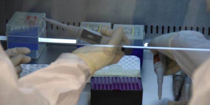 İçişleri Bakanlığı'ndan PCR genelgesi