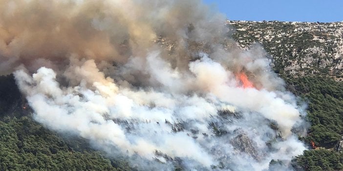 Antakya'da orman yangını. Havadan ve karadan müdahale sürüyor