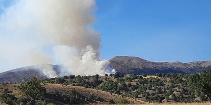 Ankara'daki orman yangını kontrol altına alındı