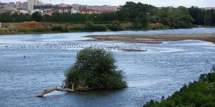 Türkiye’nin iki büyük nehri dibi gördü. Şaşkına çeviren görüntü