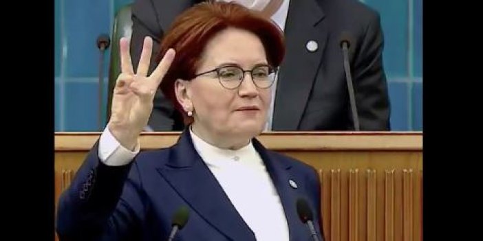 Meral Akşener’in dediği oldu Erdoğan bıraktı