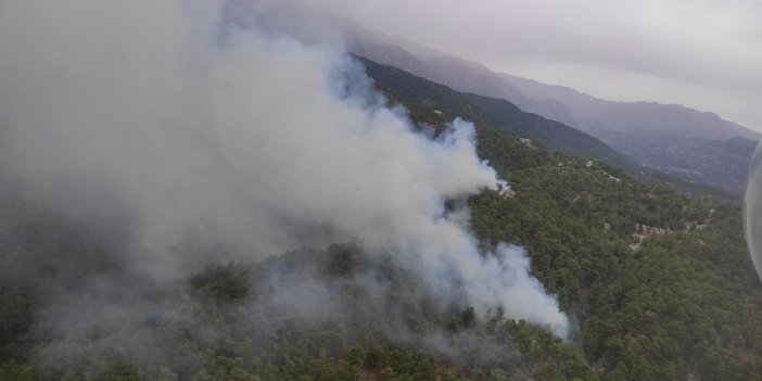 Manavgat'ta orman yangını  