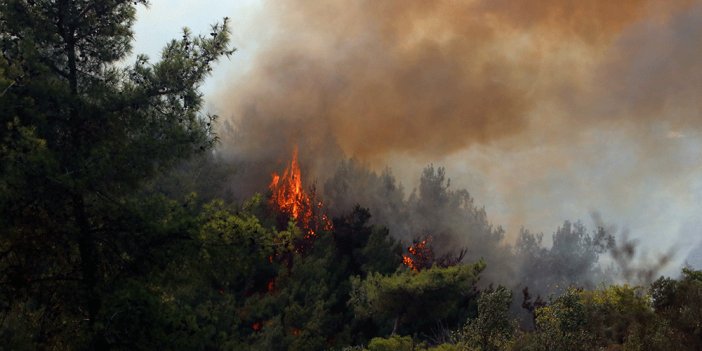 PKK'lı teröristten orman yangınlarıyla ilgili itiraf