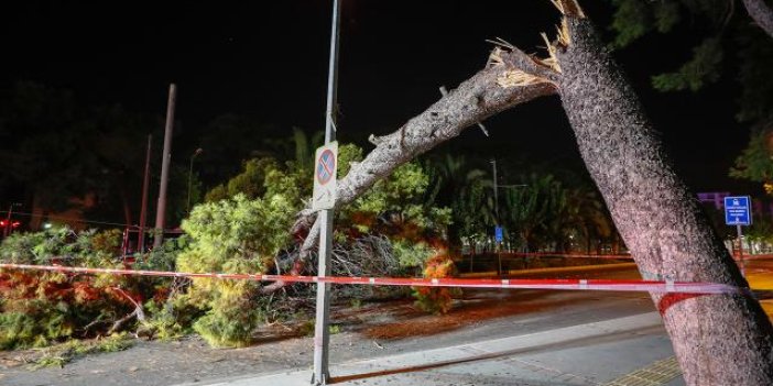 İzmir'de ağaç devrildi: Tramvay seferleri durdu