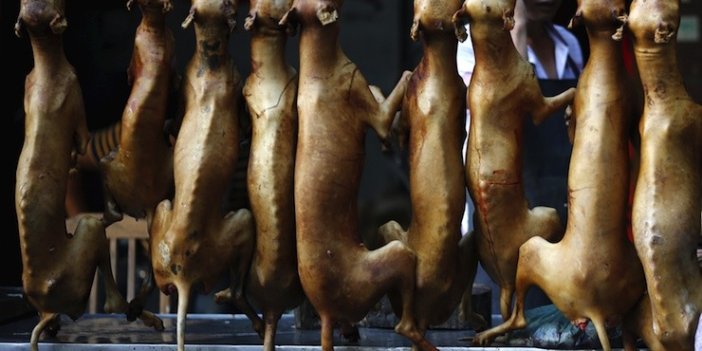 Güney Kore’de köpek eti yemek yasaklanacak