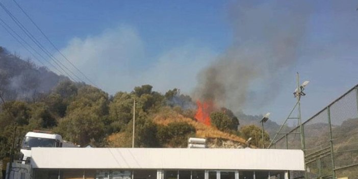 Aydın'da yangın! İki okul boşaltıldı
