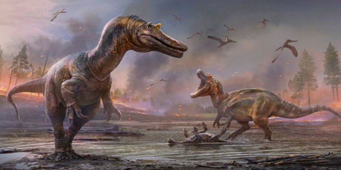 İngiltere’de yeni dinozor türleri keşfedildi
