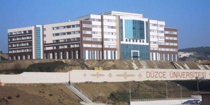 Düzce Üniversitesi Öğretim Üyesi alım ilanı