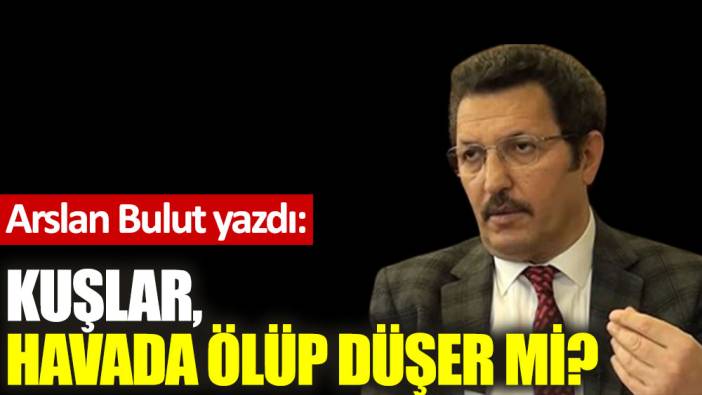 Kuşlar, havada ölüp düşer mi?