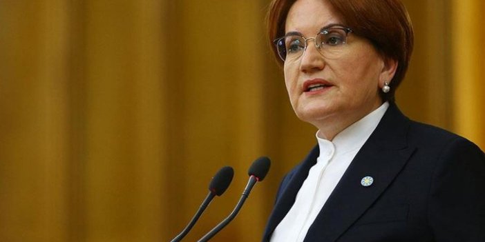 Abdulkadir Selvi Erdoğan'ın Meral Akşener planını açıkladı