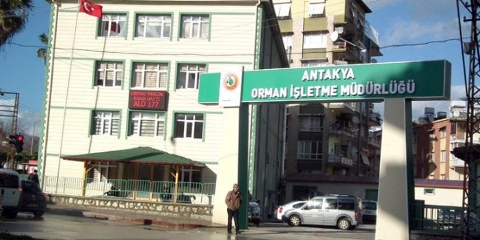 Samandağ Orman İşletme Şefliğine 272 kod nolu yeni orman yolu yaptırılacaktır.