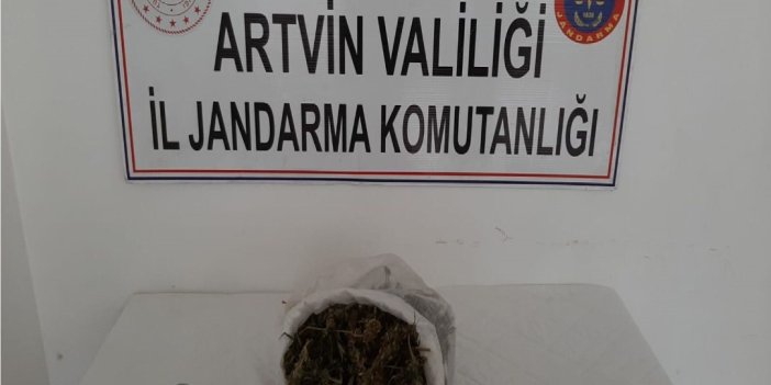 Jandarmadan uyuşturucu operasyonu