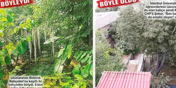 Atatürk'ün talimatıyla kurulan botanik bahçe Diyanet'e verildi, bakımsızlıktan bu hale geldi