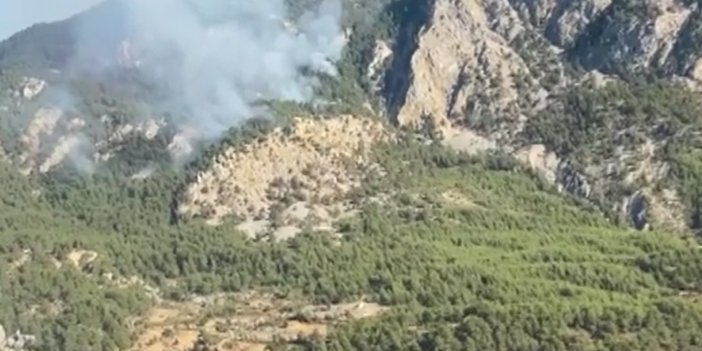 Kemer'de orman yangını: Müdahale devam ediyor