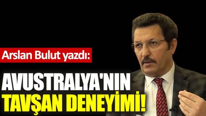 Avustralya'nın tavşan deneyimi!