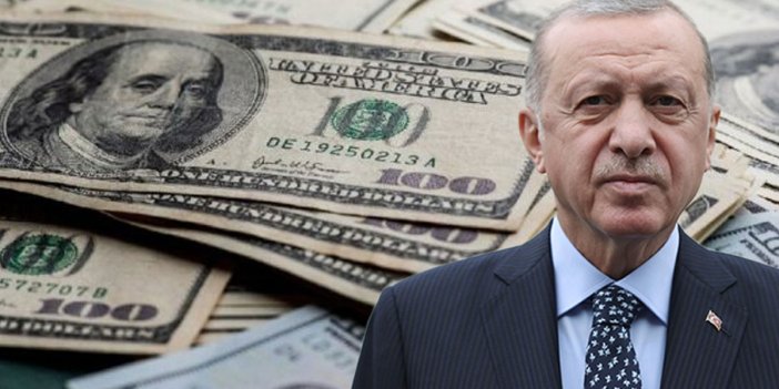 Necati Doğru’dan Erdoğan’ı barut gibi yapacak yazı. Doların artmasını istiyor