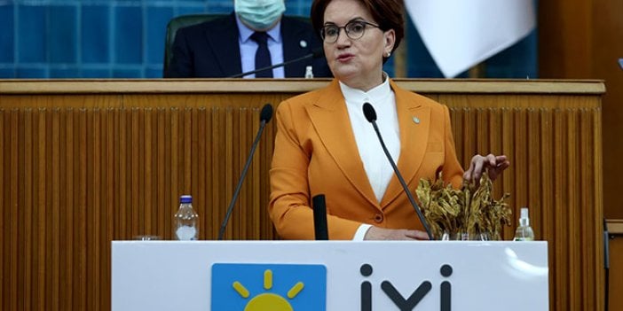 İYİ Parti lideri Meral Akşener'in milletvekillerine gönderdiği kitapta neler yazıyor! Kitabın ön sözünü Akşener kaleme aldı