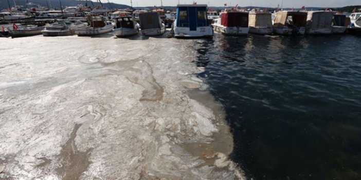 Uzman isimden Marmara Denizi için korkutan müsilaj açıklaması