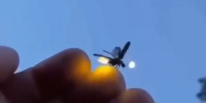 Küçük bir böcek bile kalkarken sinyal veriyor